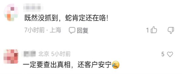 2500元住上海顶级酒店熟睡中被蛇咬伤？官方：蛇没找到，双方初步和解
