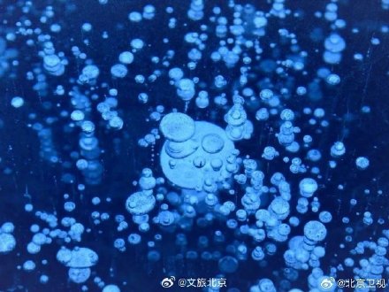 昌平出现罕见气泡冰景观
