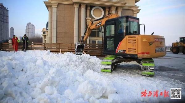 堆雪!开建!哈尔滨“头牌网红”大雪人今年邀请了新朋友! 堆雪!开建!哈尔滨“头牌网红”大雪人今年邀请了新朋友!