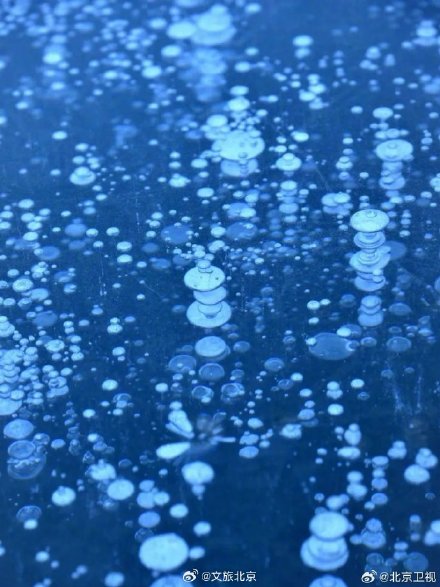 昌平出现罕见气泡冰景观