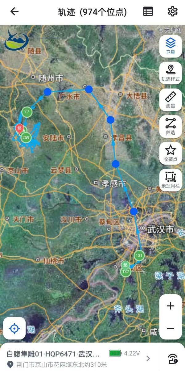 100天后，回家的“小毛球”咋样了？