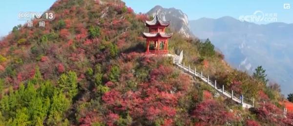 “旅游+”跨界融合激发冬季旅游“热” 新型消费服务亮点频现