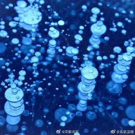昌平出现罕见气泡冰景观
