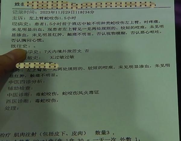 2500元住上海顶级酒店熟睡中被蛇咬伤？官方：蛇没找到，双方初步和解