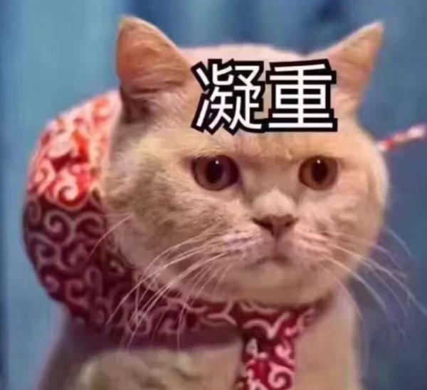 杭州小伙:爸,这泼天的富贵我能晚点再要吗? 杭州小伙:爸,这泼天的富贵我能晚点再要吗?