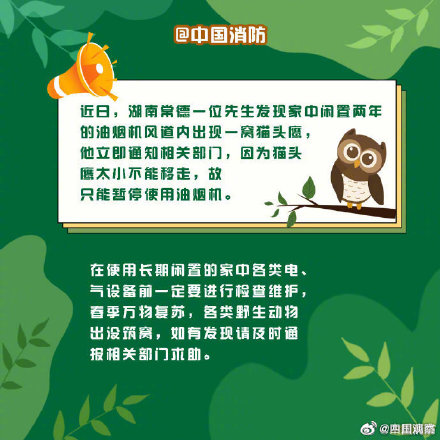 偶遇野生动物先别慌！