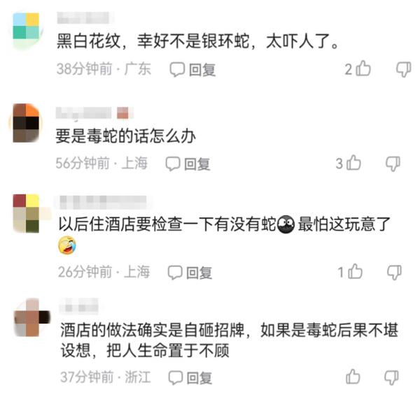 2500元住上海顶级酒店熟睡中被蛇咬伤？官方：蛇没找到，双方初步和解