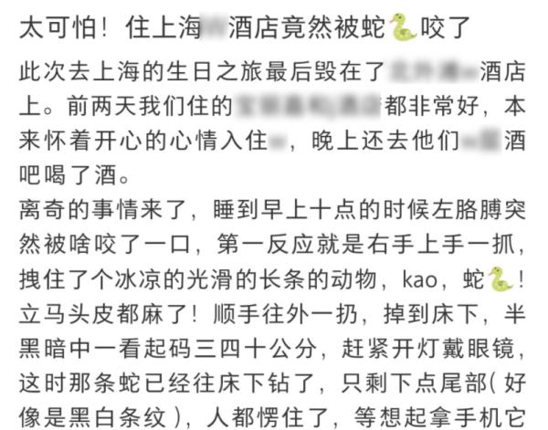 2500元住上海顶级酒店熟睡中被蛇咬伤？官方：蛇没找到，双方初步和解