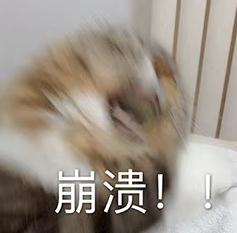 杭州小伙:爸,这泼天的富贵我能晚点再要吗? 杭州小伙:爸,这泼天的富贵我能晚点再要吗?