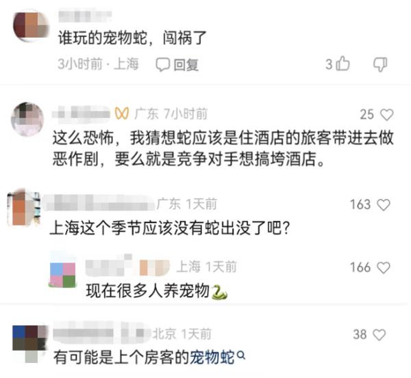 2500元住上海顶级酒店熟睡中被蛇咬伤？官方：蛇没找到，双方初步和解
