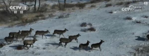 “旅游+”跨界融合激发冬季旅游“热” 新型消费服务亮点频现