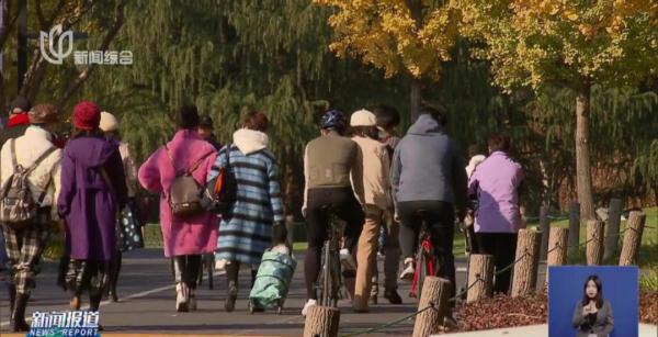 这个沪上宝藏打卡地令人担忧?有人送医,有人破相!官方提醒→ 这个沪上宝藏打卡地令人担忧?有人送医,有人破相!官方提醒→