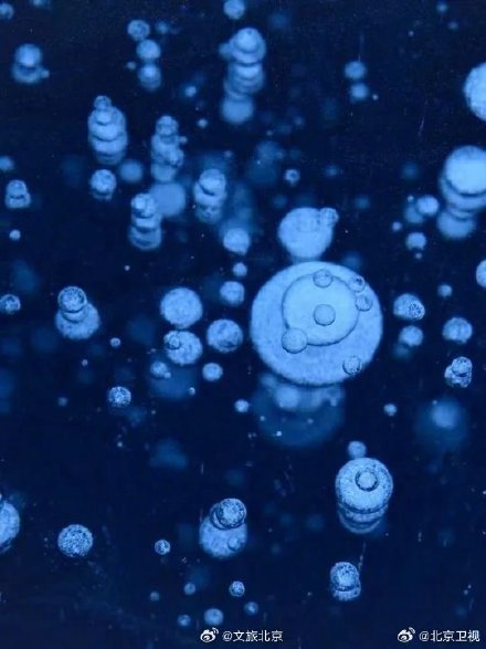 昌平出现罕见气泡冰景观