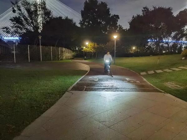 许多上海人心目中的宝藏骑行地，为何却频频发生事故？官方开始“做规矩”了！