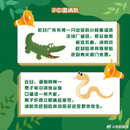 偶遇野生动物先别慌！