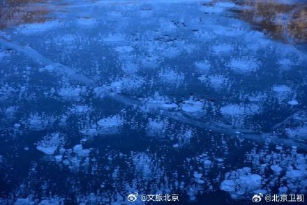 昌平出现罕见气泡冰景观