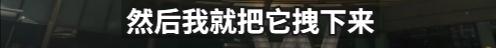 2500元住上海顶级酒店熟睡中被蛇咬伤？官方：蛇没找到，双方初步和解