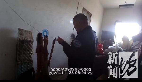 重口味!上海一男子为吃野味,猎捕三十多只黄鼠狼 重口味!上海一男子为吃野味,猎捕三十多只黄鼠狼