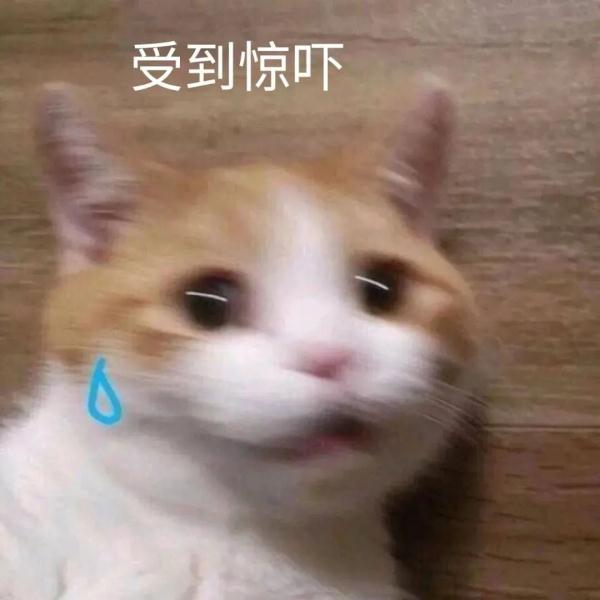 危险!高速上一轮胎“离家出走”!“跳”过护栏撞坏两车 危险!高速上一轮胎“离家出走”!“跳”过护栏撞坏两车