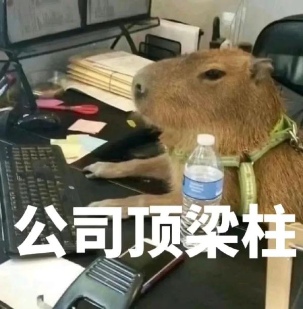 广州最冷1°C,还要下雪?权威回应来了 广州最冷1°C,还要下雪?权威回应来了