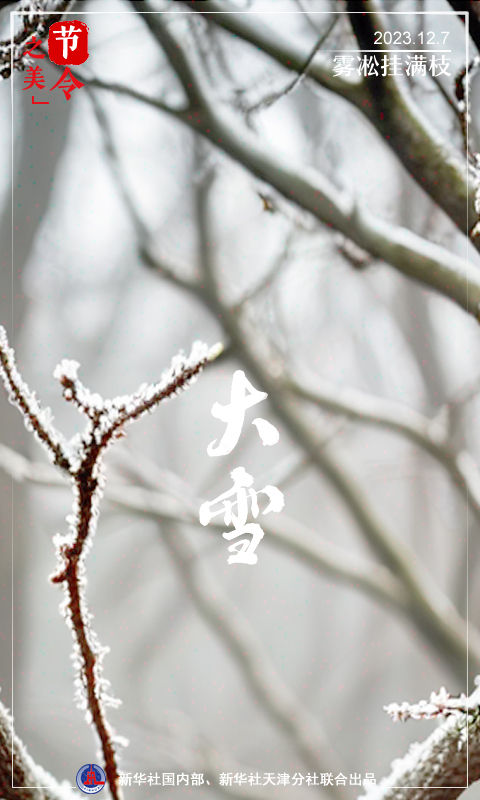 节令之美·大雪丨仲冬听雪声，簌簌落人间