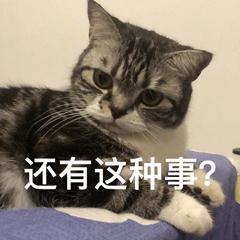穿拖鞋开车？全责！