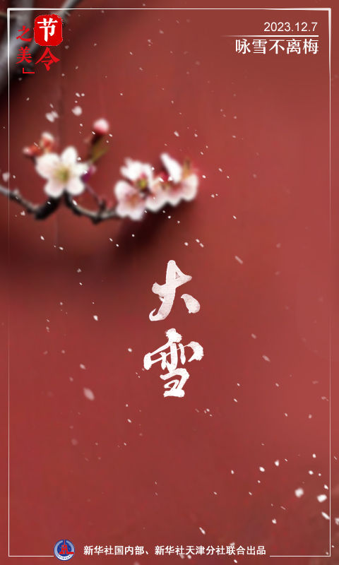 节令之美·大雪丨仲冬听雪声，簌簌落人间