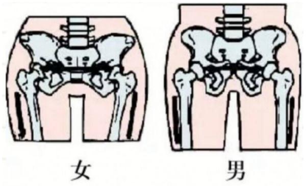 “臀塌腿粗”?可能是“假胯宽”惹的祸 “臀塌腿粗”?可能是“假胯宽”惹的祸