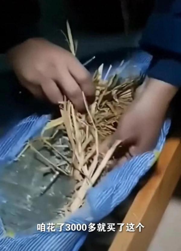 天津一中学被指三千元床垫用杂草填充？当地教育局回应→