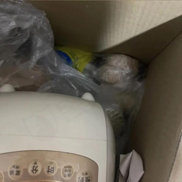 沪一女子花4600元找人搬家，结果傻眼！冻肉放锅里，东西胡乱塞…