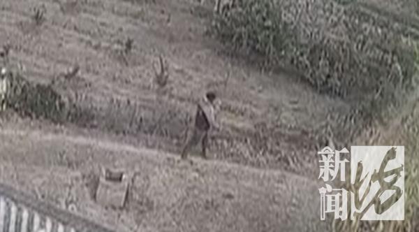 重口味!上海一男子为吃野味,猎捕三十多只黄鼠狼 重口味!上海一男子为吃野味,猎捕三十多只黄鼠狼