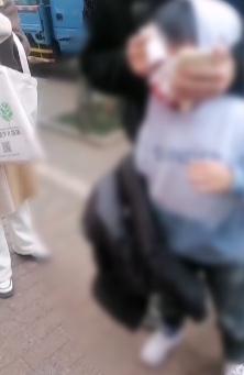 恶犬咬伤13人被击毙！8岁男童脸缝90多针！正全力寻找狗主人