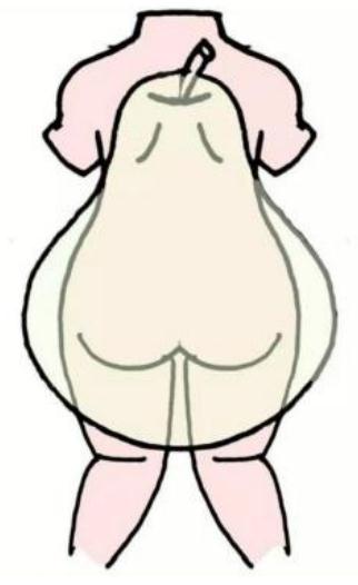 “臀塌腿粗”?可能是“假胯宽”惹的祸 “臀塌腿粗”?可能是“假胯宽”惹的祸