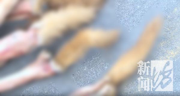 这都敢吃？！上海男子连抓30多只，网友惊了：口味太重