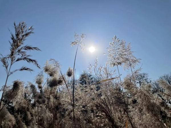 今日大雪!周末河南将迎“蹦极式”降温,暴跌近20℃ 今日大雪!周末河南将迎“蹦极式”降温,暴跌近20℃