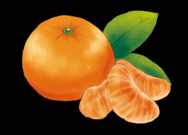 二十四节气美食图鉴 | “大雪”未必雪纷飞,美味佳肴来补位 二十四节气美食图鉴 | “大雪”未必雪纷飞,美味佳肴来补位