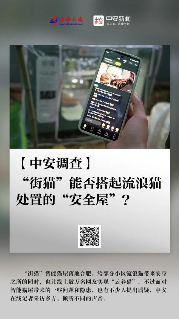 “街猫”能否搭起流浪猫处置的“安全屋”? “街猫”能否搭起流浪猫处置的“安全屋”?