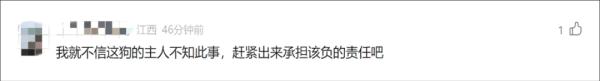 8岁男童被狗扑咬,缝了90多针!狗主人仍未找到 8岁男童被狗扑咬,缝了90多针!狗主人仍未找到