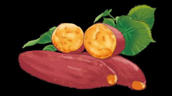 二十四节气美食图鉴 | “大雪”未必雪纷飞,美味佳肴来补位 二十四节气美食图鉴 | “大雪”未必雪纷飞,美味佳肴来补位