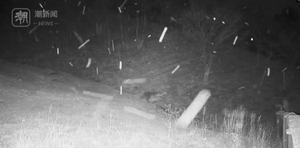 太刺激!浙江大回暖后可能迎来超级寒潮,下雪也有消息了 太刺激!浙江大回暖后可能迎来超级寒潮,下雪也有消息了