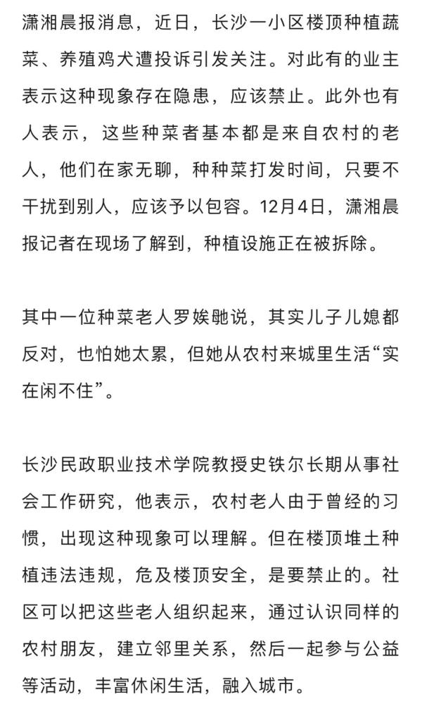 老人把小区楼顶“开垦”成菜园,规模巨大震惊邻居!目前正清除 老人把小区楼顶“开垦”成菜园,规模巨大震惊邻居!目前正清除