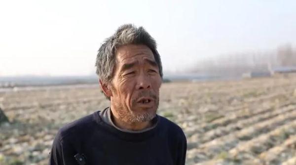 一棵白菜5毛钱！今冬大白菜价格跌至近8年最低，为啥？