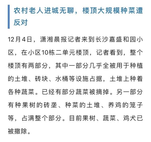 老人把小区楼顶“开垦”成菜园,规模巨大震惊邻居!目前正清除 老人把小区楼顶“开垦”成菜园,规模巨大震惊邻居!目前正清除