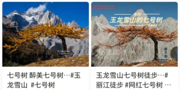 “仙境”可能是“险境”！云南丽江这些未开发未开放区域请勿前往→
