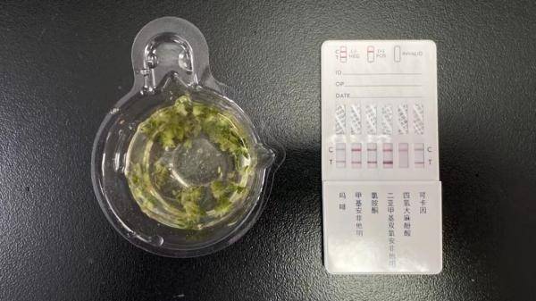 “养生茶叶包”竟被检出大麻!深圳海关依法查处 “养生茶叶包”竟被检出大麻!深圳海关依法查处