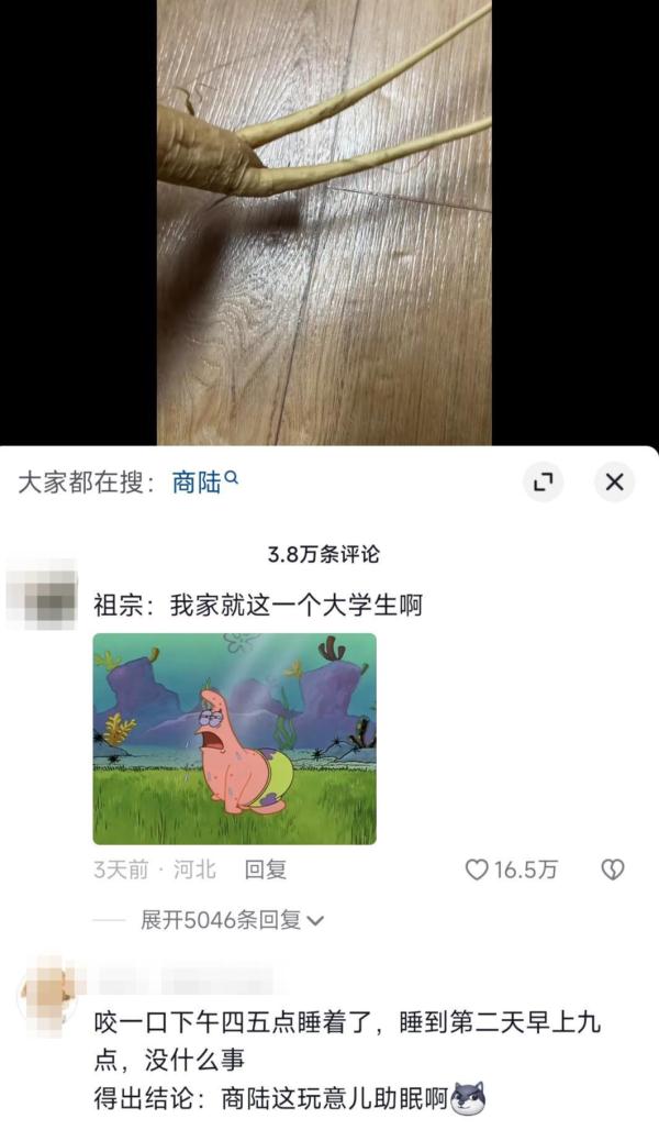 咬了一口“人参”，她昏睡17个小时！江苏也有分布，严重可致死！