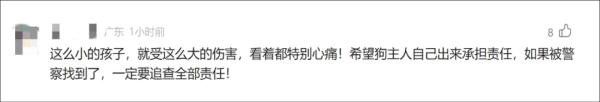 8岁男童被狗扑咬,缝了90多针!狗主人仍未找到 8岁男童被狗扑咬,缝了90多针!狗主人仍未找到