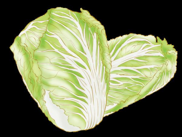 二十四节气美食图鉴 | “大雪”未必雪纷飞,美味佳肴来补位 二十四节气美食图鉴 | “大雪”未必雪纷飞,美味佳肴来补位