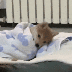 @各位小仙女，这个东西你也在用吗？武汉一女子忘了它，致引火烧家