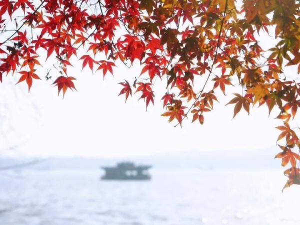 太刺激!浙江大回暖后可能迎来超级寒潮,下雪也有消息了 太刺激!浙江大回暖后可能迎来超级寒潮,下雪也有消息了